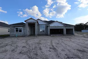 3072 Solace Wy, Orlando, FL 32820 - Photo 1