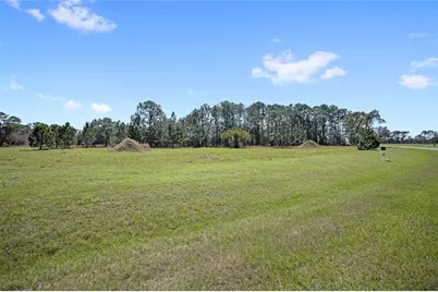 38514 Wooded Meadow Drive, Umatilla, FL 32784 - Photo 6