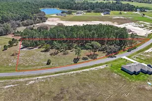 38514 Wooded Mdw Dr, Umatilla, FL 32784 - Photo 4