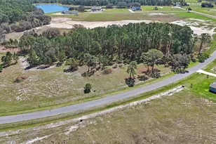 38514 Wooded Mdw Dr, Umatilla, FL 32784 - Photo 10