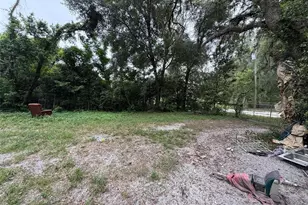 39412 Mercer Rd, Dade City, FL 33523 - Photo 6