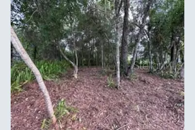 3253 Sardinia Terrace, Deltona, FL 32738 - Photo 4