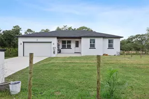 45551 Carolina St, Paisley, FL 32767 - Photo 1