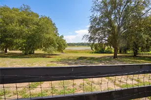 16723 SE 173rd Terrace Rd, Weirsdale, FL 32195 - Photo 30