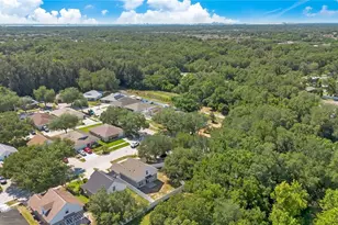 10225 Summerview Cir, Riverview, FL 33578 - Photo 30