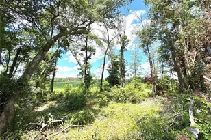 571 NW Zack Dr, Lake City, FL 32055 - Photo 44