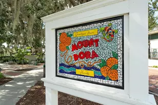 110 N Tremain St, Mount Dora, FL 32757 - Photo 18