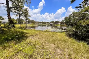 390 Fort Smith Blvd, Deltona, FL 32738 - Photo 2