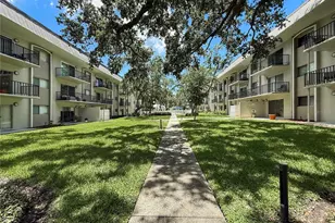 4607 W Fig St, Tampa, FL 33609 - Photo 20