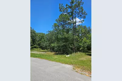223 Starling Court, Poinciana, FL 34759 - Photo 2