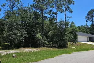 223 Starling Ct, Poinciana, FL 34759 - Photo 1