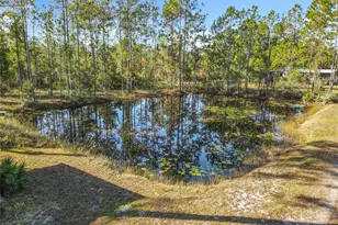 6100 Winning Wood Trl, De Leon Springs, FL 32130 - Photo 34