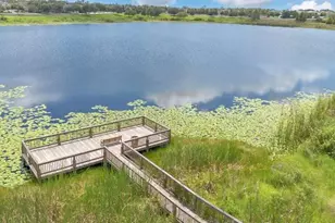 8150 Red Stopper Ln, Winter Garden, FL 34787 - Photo 34