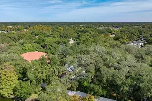 315 Wooten Rd, Lutz, FL 33548 - Photo 58