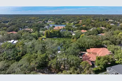 315 Wooten Road, Lutz, FL 33548 - Photo 56