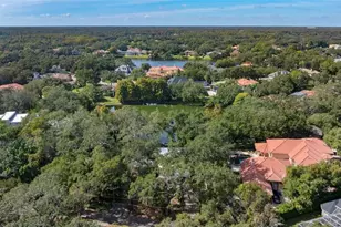 315 Wooten Rd, Lutz, FL 33548 - Photo 56