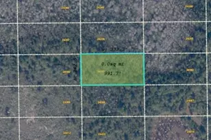 Dill Rd, Orlando, FL 32820 - Photo 1