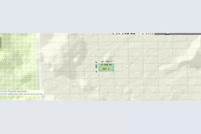 Dill Road, Orlando, FL 32820 - Photo 2