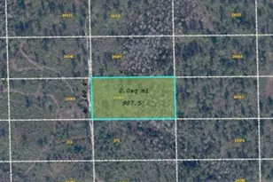 Dill Rd, Orlando, FL 32820 - Photo 1