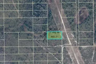 Dill Rd, Orlando, FL 32820 - Photo 1