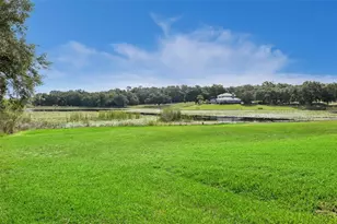 605 Old Mt Dora Rd, Eustis, FL 32726 - Photo 52