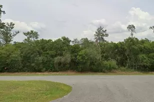 Tbd Marion Oaks Blvd, Ocala, FL 34473 - Photo 1