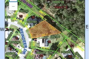 656 Reindeer Dr, Poinciana, FL 34759 - Photo 1