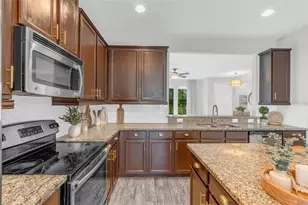 325 Partridge Pea Ln, Ocoee, FL 34761 - Photo 10