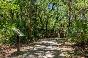 2910 Flynn St, Deltona, FL 32738 - Photo 30