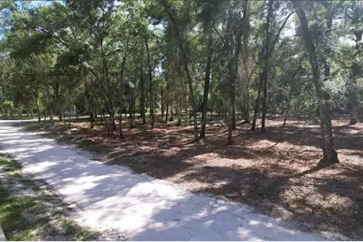 17792 SE 30th Avenue, Summerfield, FL 34491 - Photo 2