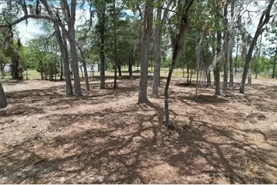 Ne 56th Street, Bronson, FL 32621 - Photo 4