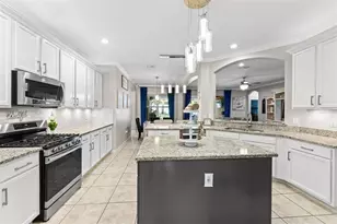 12313 Fountain Coin Way, Clermont, FL 34711 - Photo 10