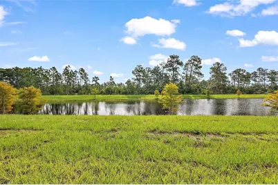3933 Duval Court, Clermont, FL 34714 - Photo 44