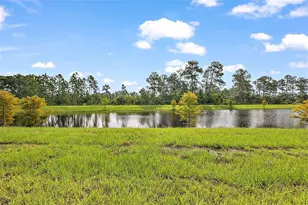 3933 Duval Ct, Clermont, FL 34714 - Photo 44
