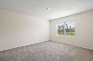 3933 Duval Ct, Clermont, FL 34714 - Photo 42