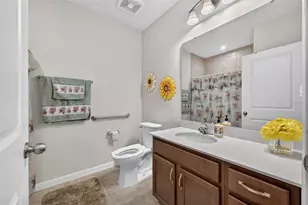 341 Winter Bliss Ln, Mount Dora, FL 32757 - Photo 28