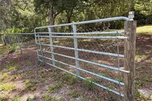 44238 Forest View Rd, Deland, FL 32720 - Photo 38