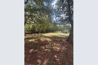 44238 Forest View Road, Deland, FL 32720 - Photo 32