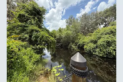 24907 NE 135th Street, Salt Springs, FL 32134 - Photo 48