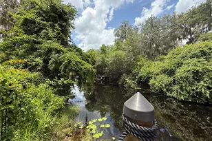 24907 NE 135th St, Salt Springs, FL 32134 - Photo 48