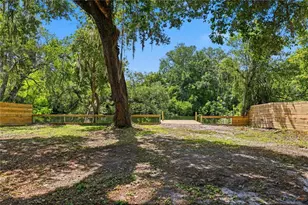 1915 E Mulberry Dr, Tampa, FL 33604 - Photo 4