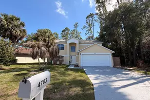 4703 Alexis Dr, Kissimmee, FL 34746 - Photo 2