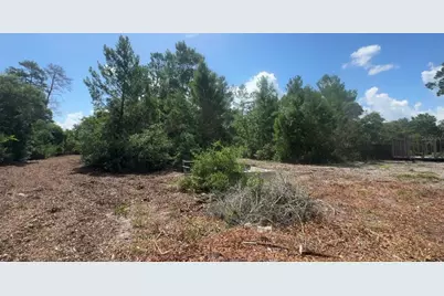 0 North Circle E, Paisley, FL 32767 - Photo 8