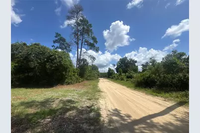 0 North Circle E, Paisley, FL 32767 - Photo 4