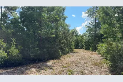 0 North Circle E, Paisley, FL 32767 - Photo 10