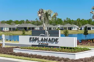 4451 Ochos Rios Pl, Kissimmee, FL 34758 - Photo 2