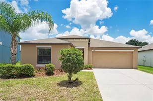 10116 Carloway Hills Dr, Wimauma, FL 33598 - Photo 1