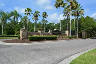 14648 Corkwood Dr, Tampa, FL 33626 - Photo 30