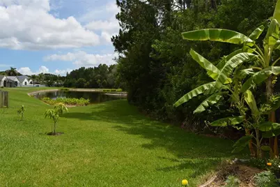 14648 Corkwood Drive, Tampa, FL 33626 - Photo 28
