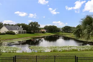 6241 Blakeford Dr, Windermere, FL 34786 - Photo 48